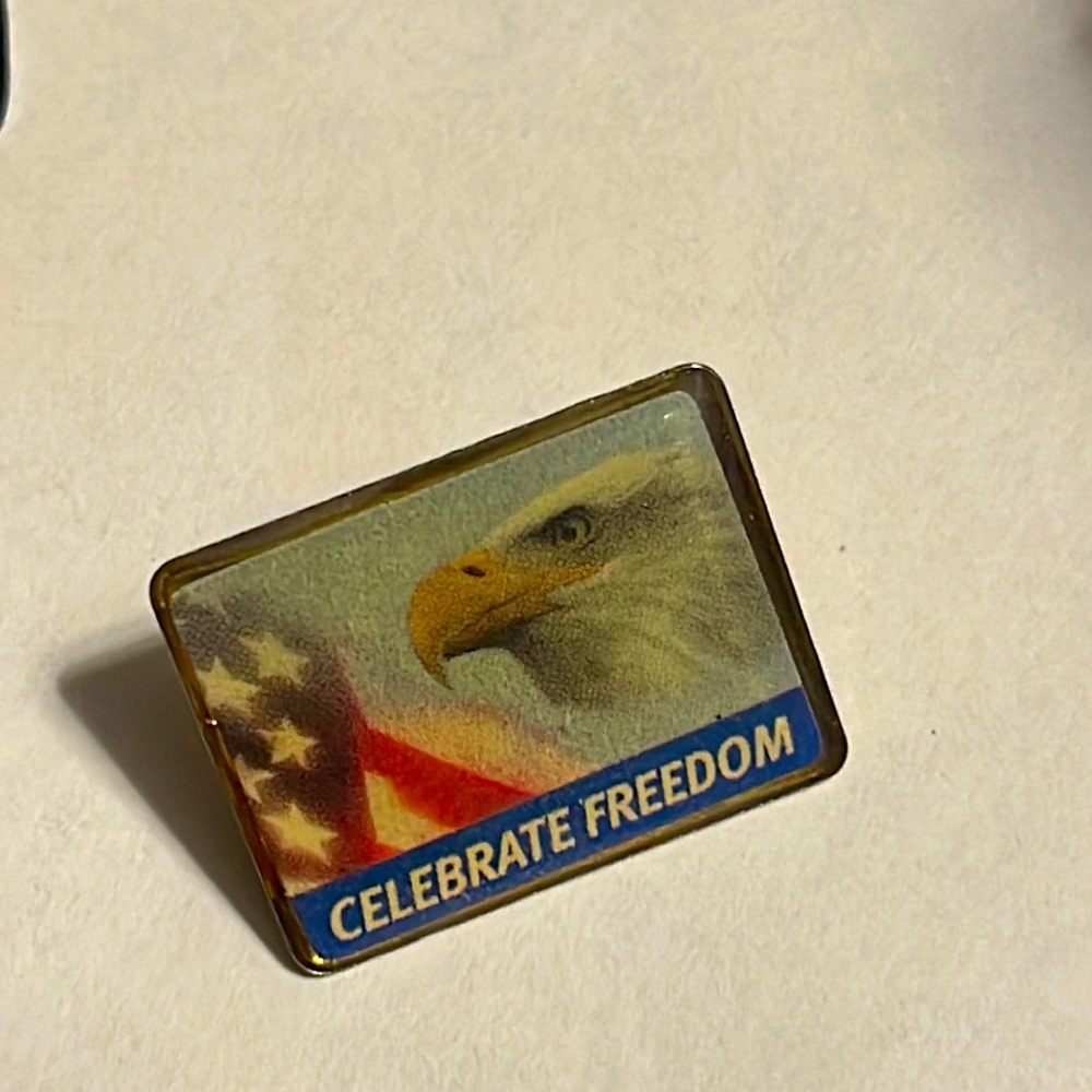 USA Celebrate Freedom Bald Eagle Pin 🦅